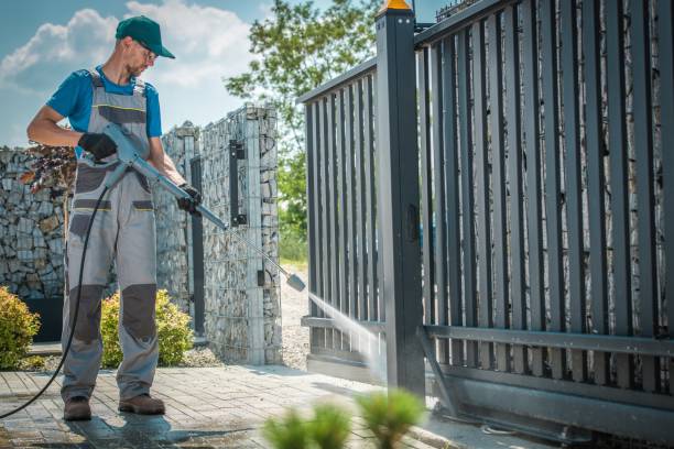 Best Roof Cleaning and Mildew Removal in Chariton, IA