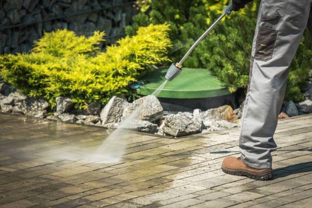 Best Soft Washing for Delicate Surfaces in Chariton, IA