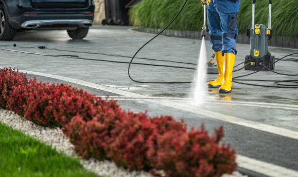 Best Vinyl Siding Pressure Washing in Chariton, IA